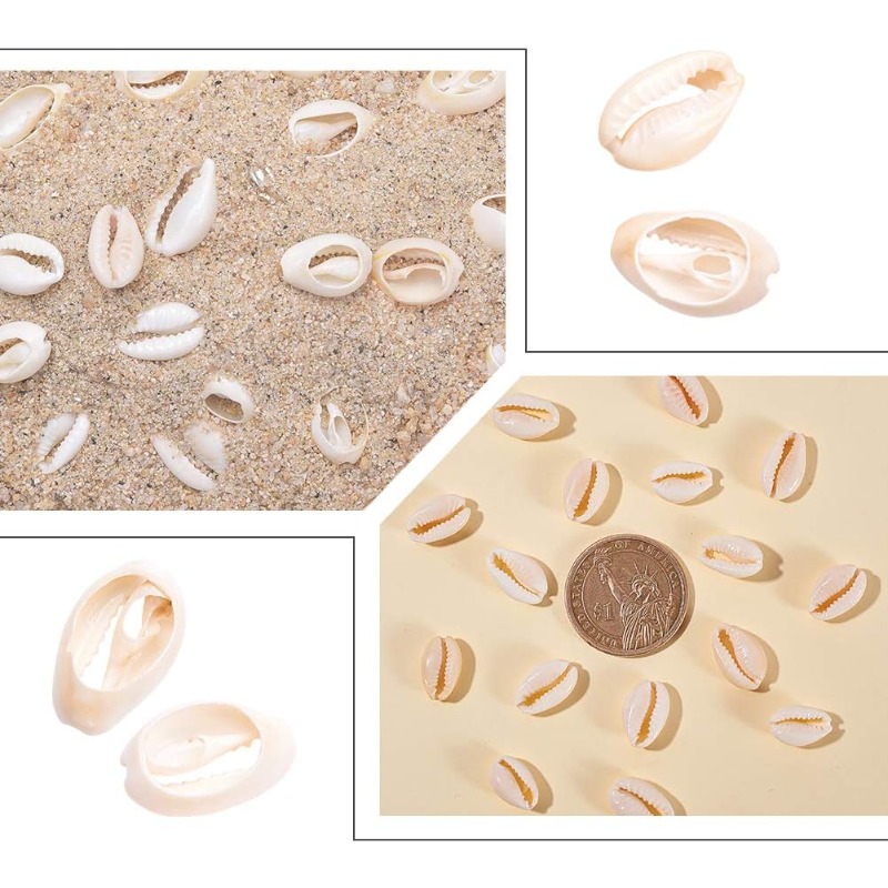 400 Uds. Cuentas de concha de  - Jewelry Making Long Beach reseña y precio